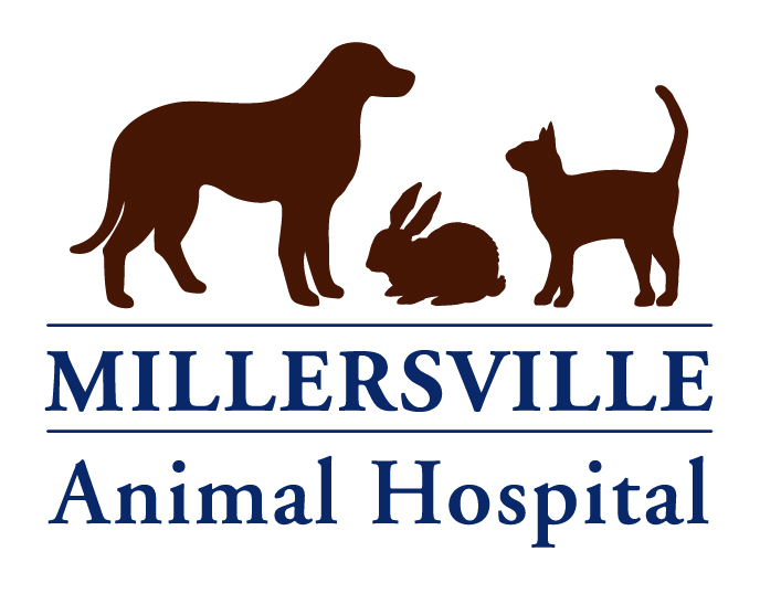 Millersville Animal Hospital